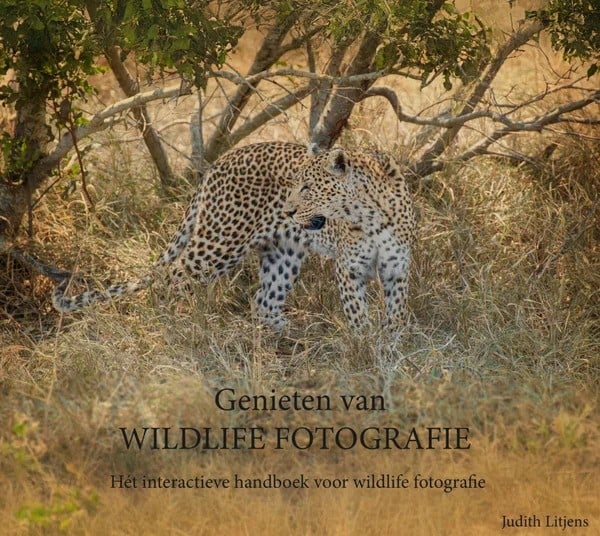 Genieten van wildlife fotografie Door: Judith Litjens afbeelding