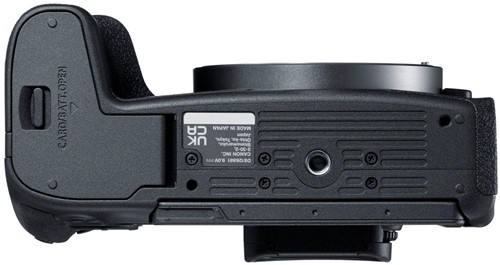 Canon EOS R8 + RF 24-50mm F4.5-6.3 IS STM-3