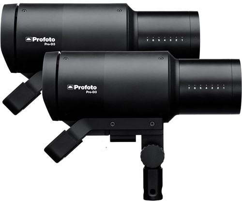 Profoto PRO-D3 750 Duo Kit