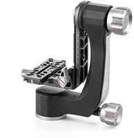 Benro GH2N statiefkop Grijs, Zilver 3/8 Kompasbeugel"