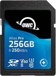 OWC Atlas Pro (256GB) SDXC UHS-II V60 Media Card