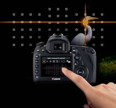 Canon EOS 5D Mark IV Body Foto de Vakman