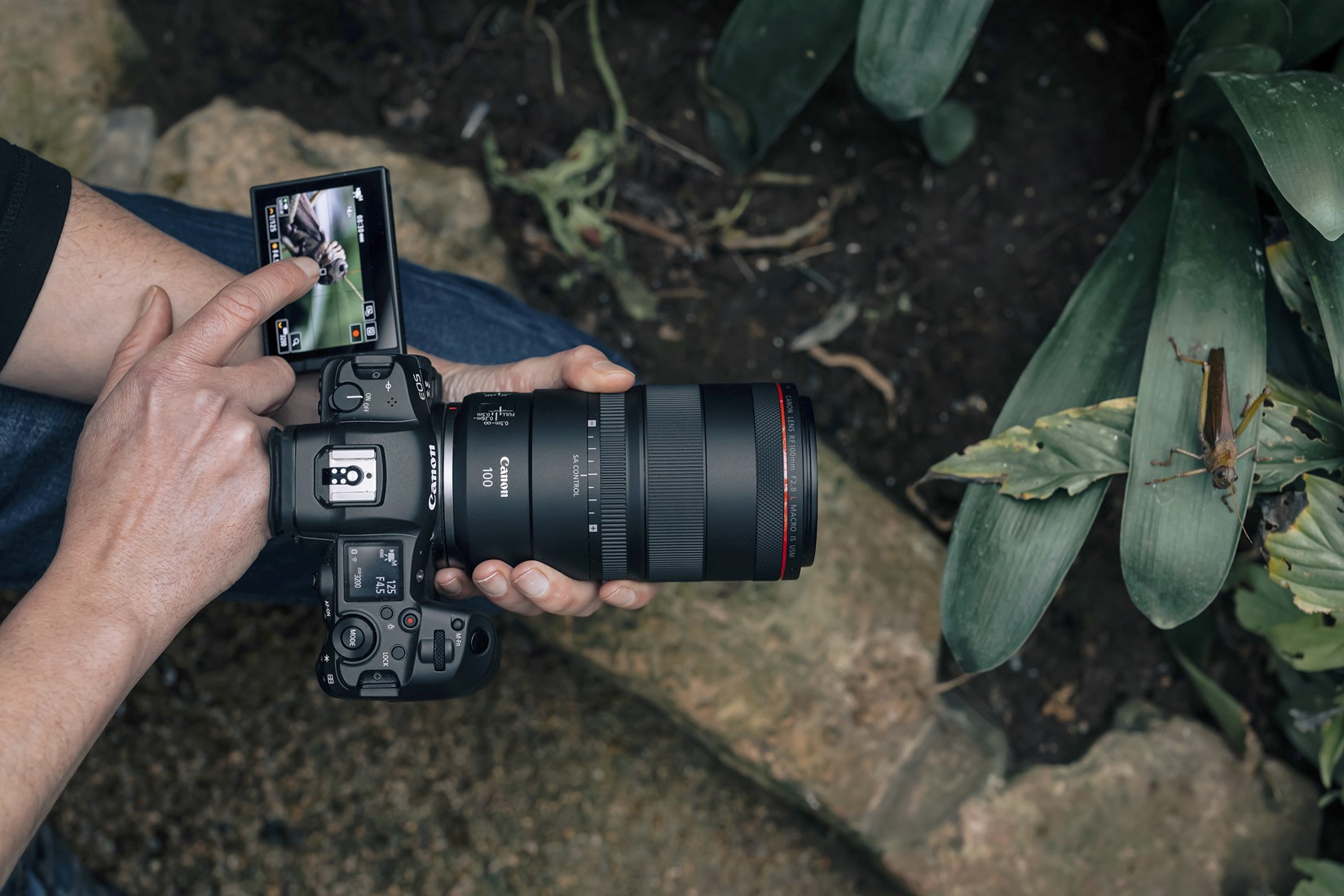 Canon RF 100mm F2.8L MACRO IS USM SLR Macrolens Zwart Foto de Vakman