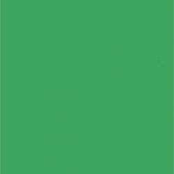 Falcon Eyes Achtergrondpapier 46 Chroma Green 2,75 x 11 m