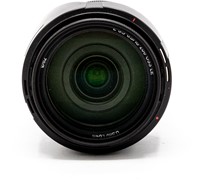 Sony SEL 18-200mm f/3.5-6.3 (occ_6289)