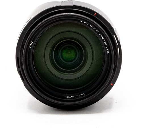 Sony SEL 18-200mm f/3.5-6.3 (occ_6289)