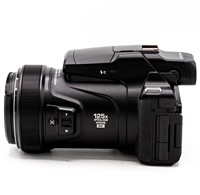 Nikon P1000 (occ_6348)-2