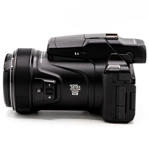 Nikon P1000 (occ_6348)-2