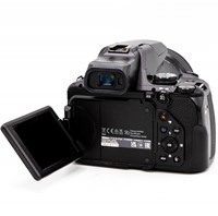 Nikon P1000 (occ_6348)-3