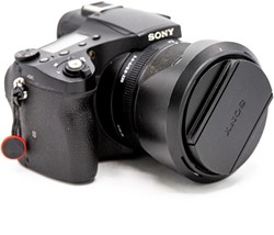 Sony RX10 IV (occ_6538)