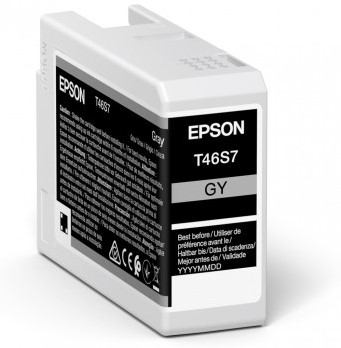 Epson Singlepack Gray T46S7