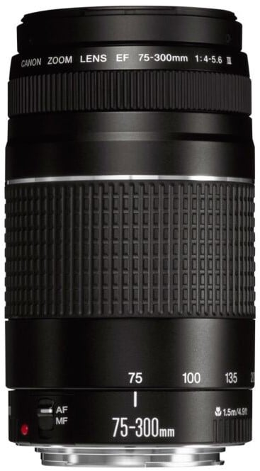 デジタルカメラ Canon EOS 5D Mark III+Canon EF 75-300 デジタルカメラ Canon EOS 5D mark III/Canon EF75-300mm デジタル