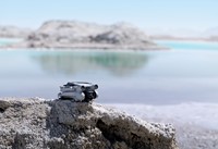 Extra afbeelding voor DJI-MINI-3-PRO-SC