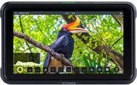 Atomos Shinobi 13,2 cm (5.2) Zwart 1920 x 1080 Pixels"-2
