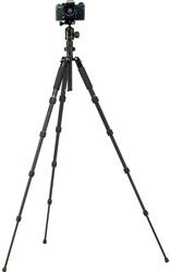 Rollei Compact Traveler nr. 1 zwart