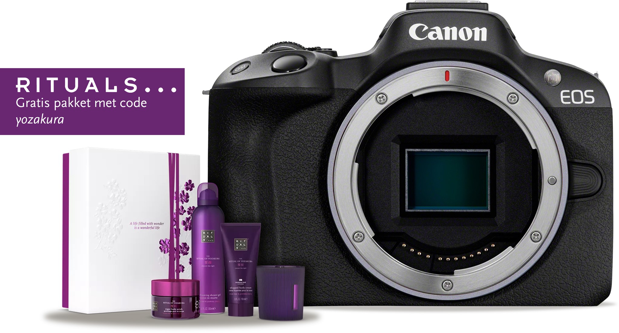 Canon EOS R50 body zwart Foto de Vakman