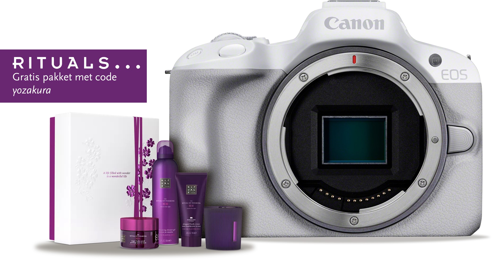 Canon EOS R50, White + RF-S 18-45mm F4.5-6.3 IS STM Wit Foto de Vakman
