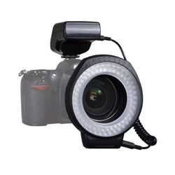 Ringflitser