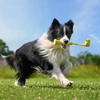 Insta360-GO 3 - Fetch Stick-2