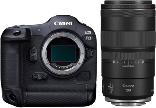 Canon EOS R3 + RF 100mm f/2.8L Macro IS USM