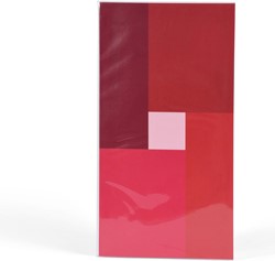 Henzo Nexus fotoetui voor 96 foto's